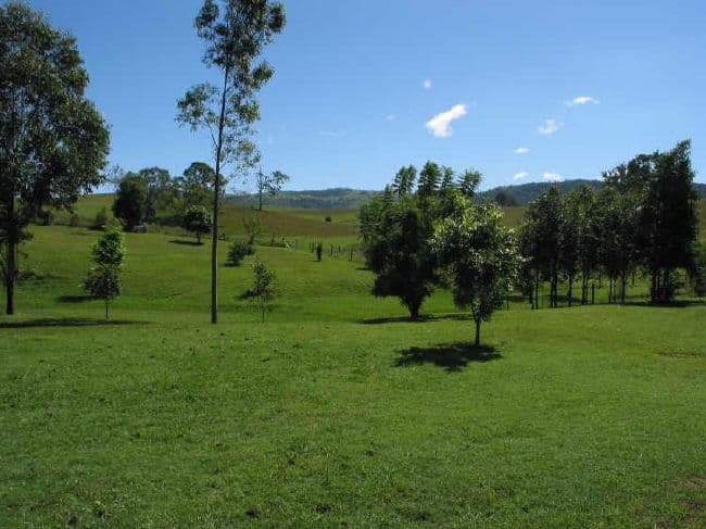 33 Edmonds Court, DAYBORO QLD 4521, Dayboro - Thumbnail 3