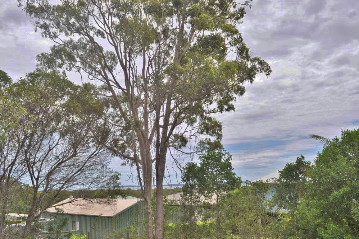 Lot 14 Mathiesen Road, Booral QLD 4655, Booral - Thumbnail 2