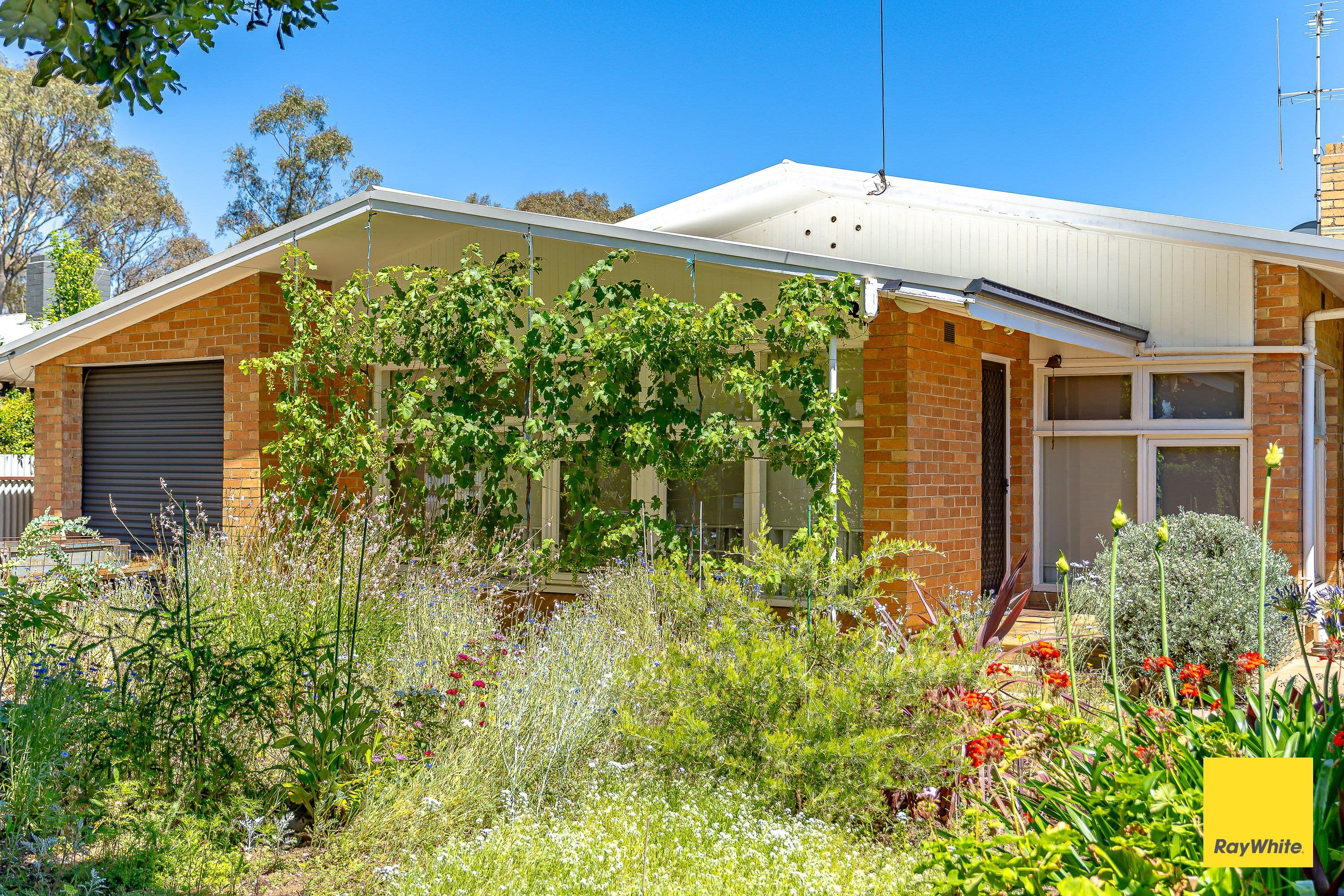 2 Carolin Street, Quarry Hill VIC 3550, Quarry Hill - Image 1