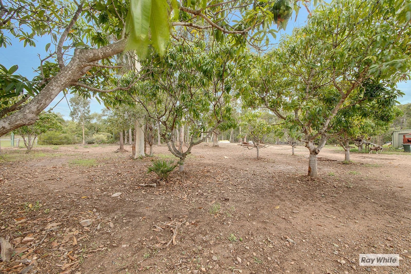 128 Hidden Valley Road, Hidden Valley QLD 4703, Hidden Valley - Thumbnail 3