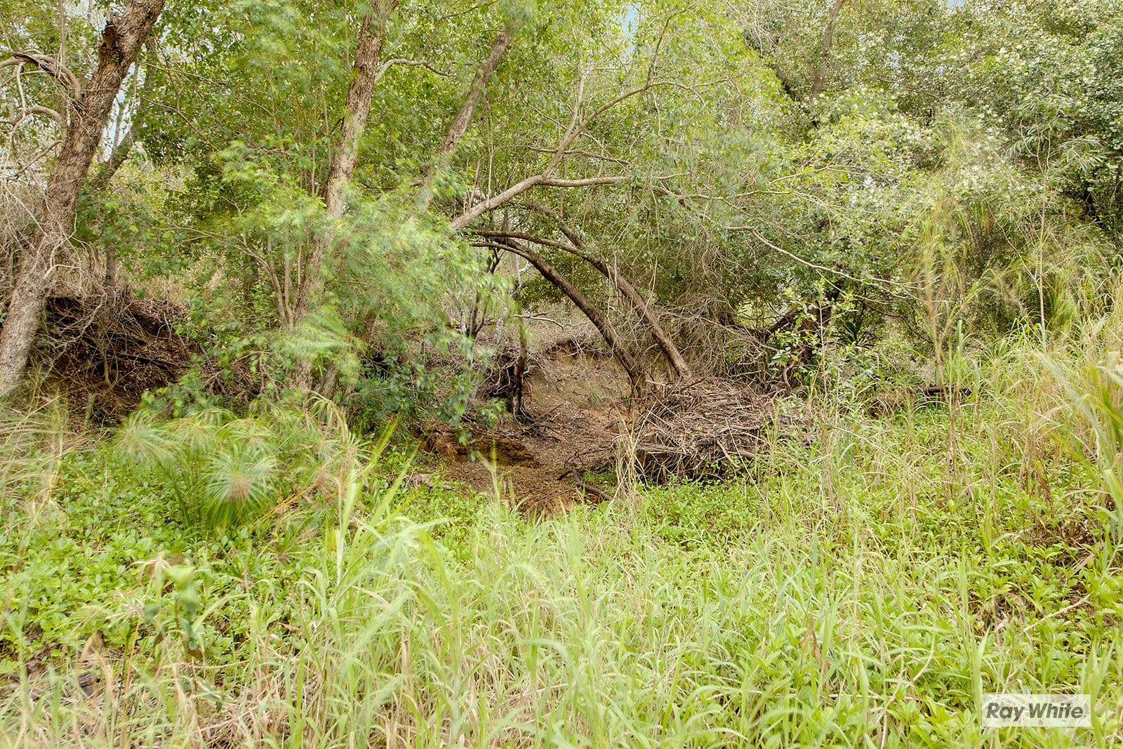 128 Hidden Valley Road, Hidden Valley QLD 4703, Hidden Valley - Thumbnail 5