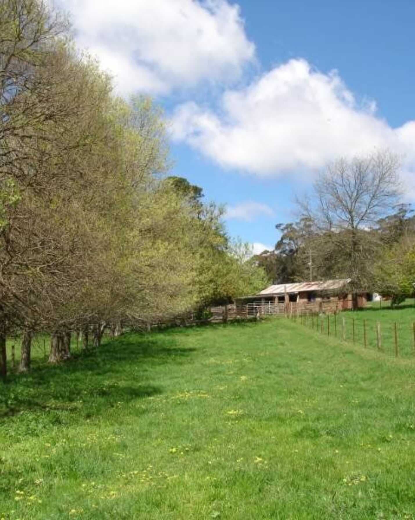 170 Walkers Road Avoca, Avoca - Image 1