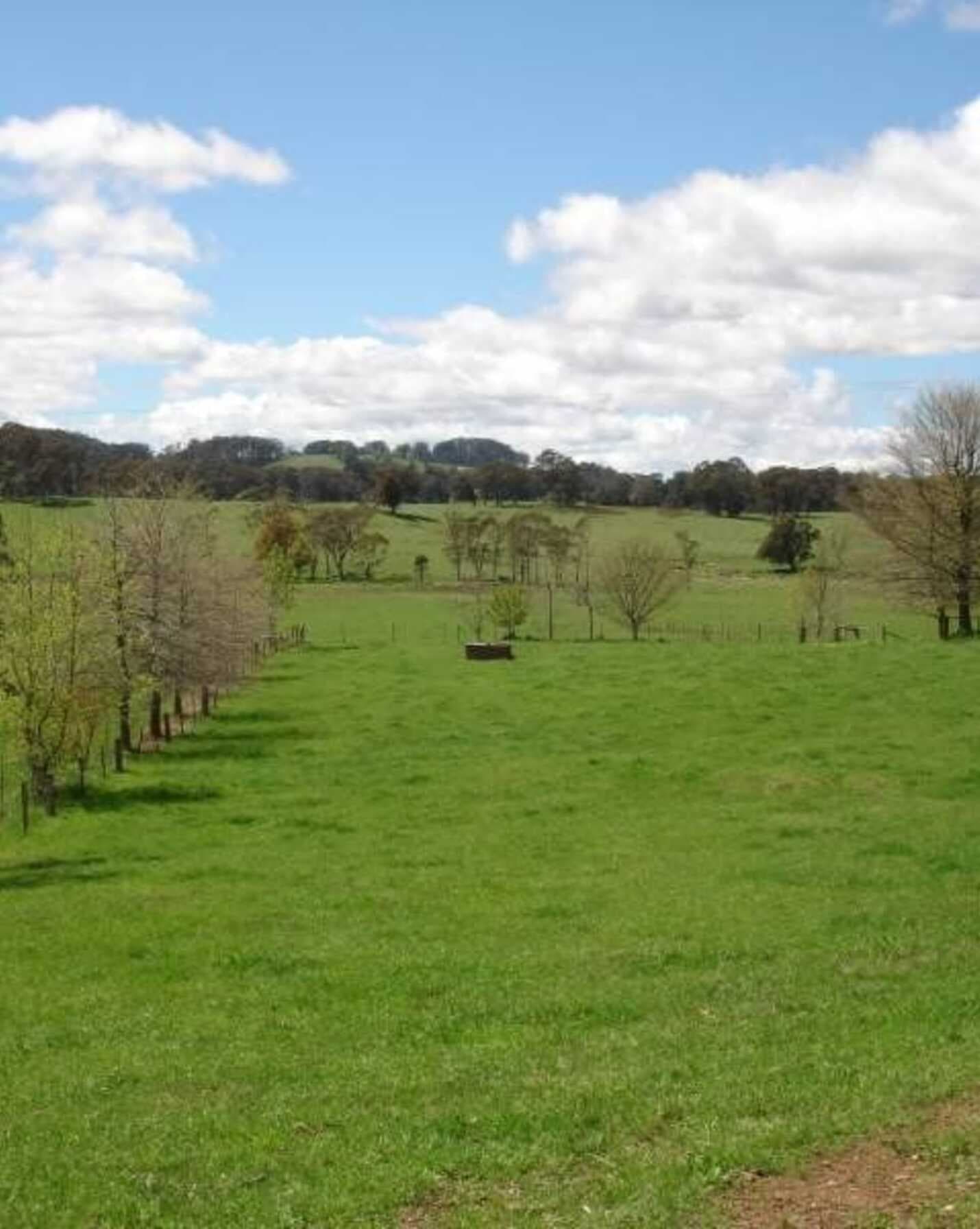 170 Walkers Road Avoca, Avoca - Thumbnail 2
