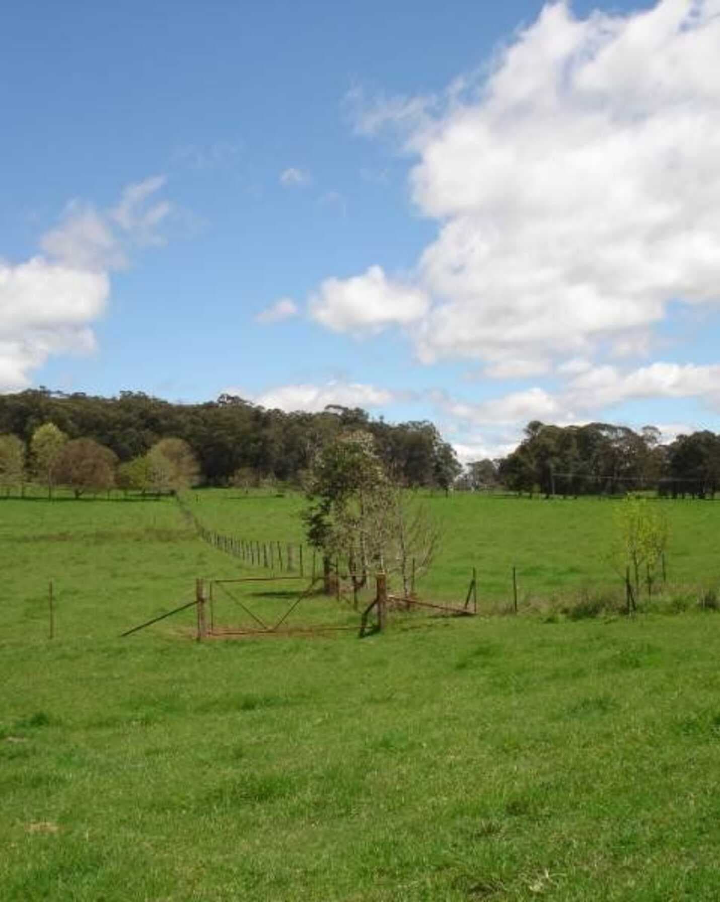 170 Walkers Road Avoca, Avoca - Thumbnail 3