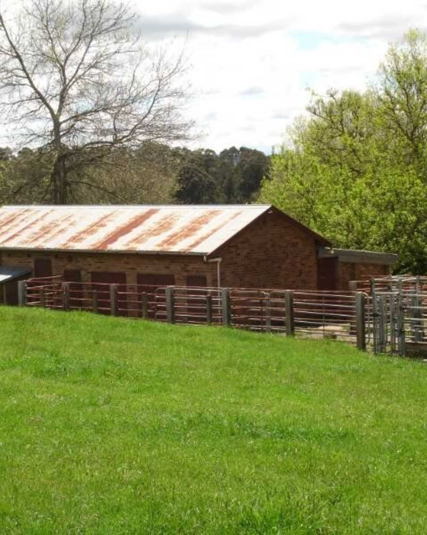 170 Walkers Road Avoca, Avoca - Thumbnail 5