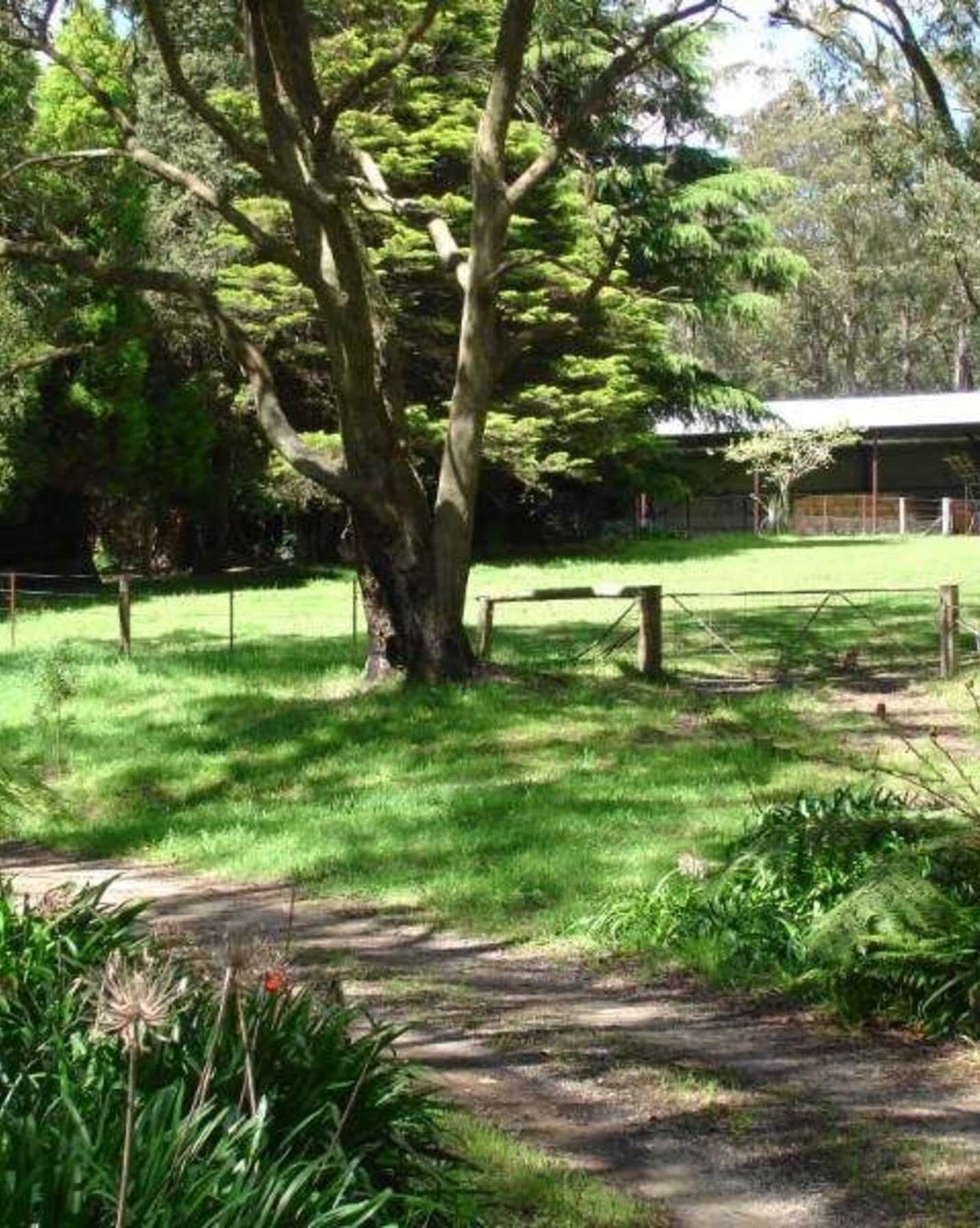 170 Walkers Road Avoca, Avoca - Thumbnail 6