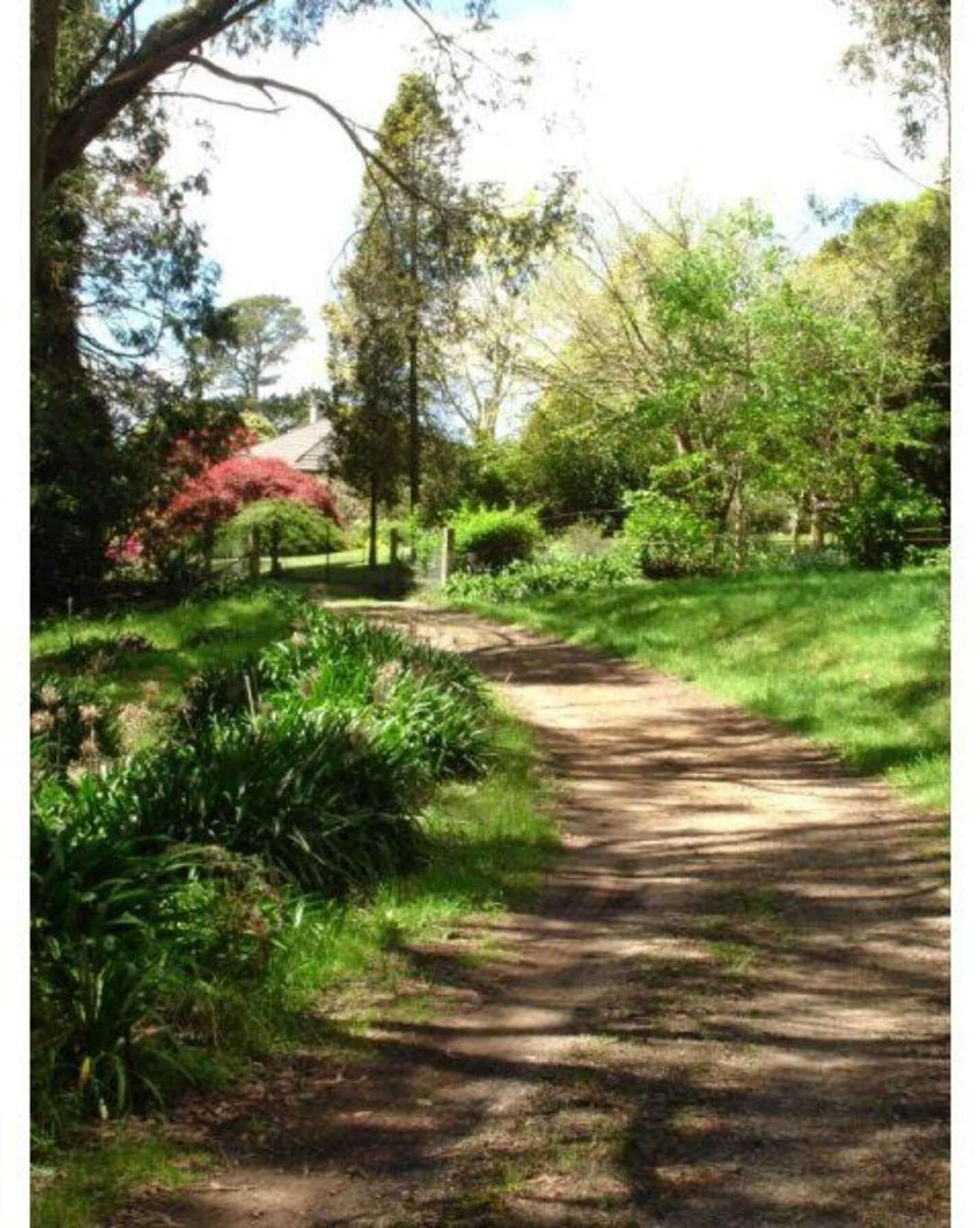 170 Walkers Road Avoca, Avoca - Thumbnail 7