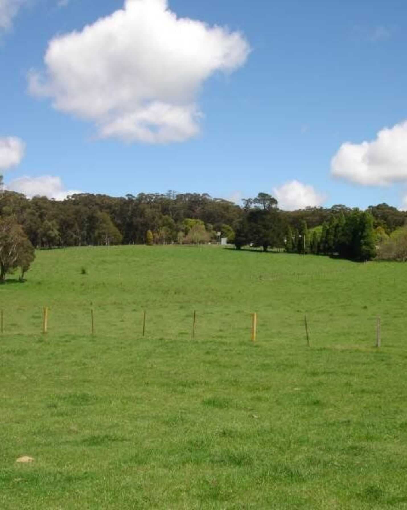170 Walkers Road Avoca, Avoca - Thumbnail 8