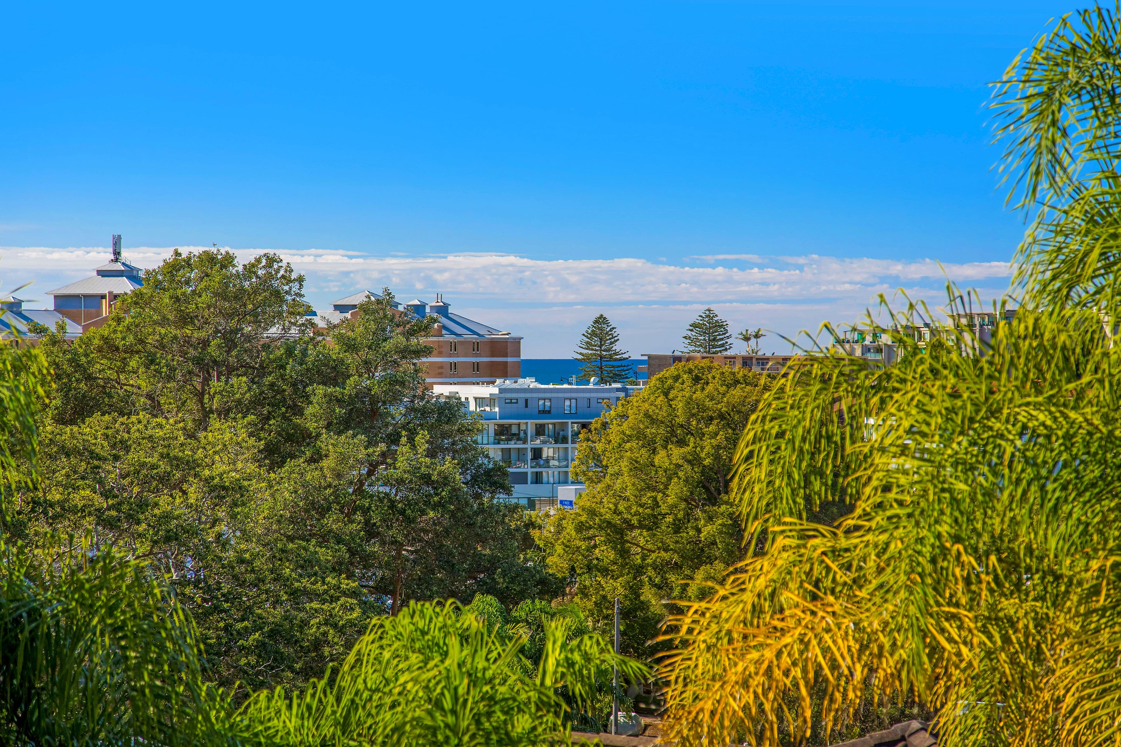 32 Auld Street, Terrigal NSW 2260, Terrigal - Thumbnail 5