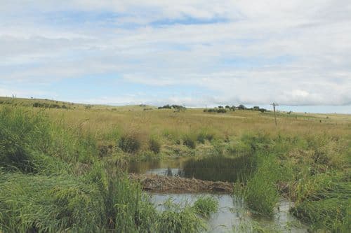 311 Taylors Creek Road, TARAGO NSW 2580, Tarago - Thumbnail 3