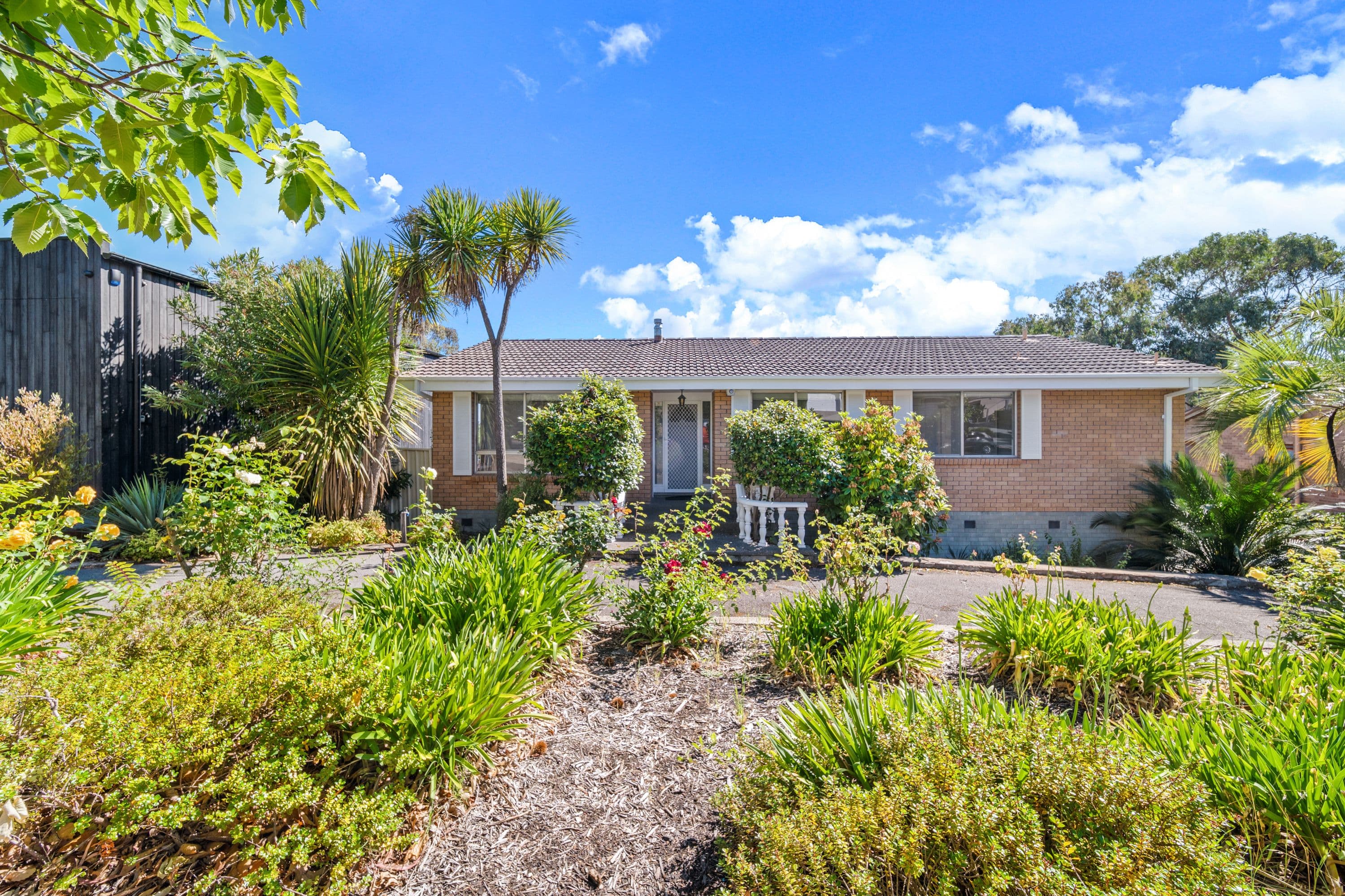 35 Custance Street, Farrer ACT 2607, Farrer - Thumbnail 2
