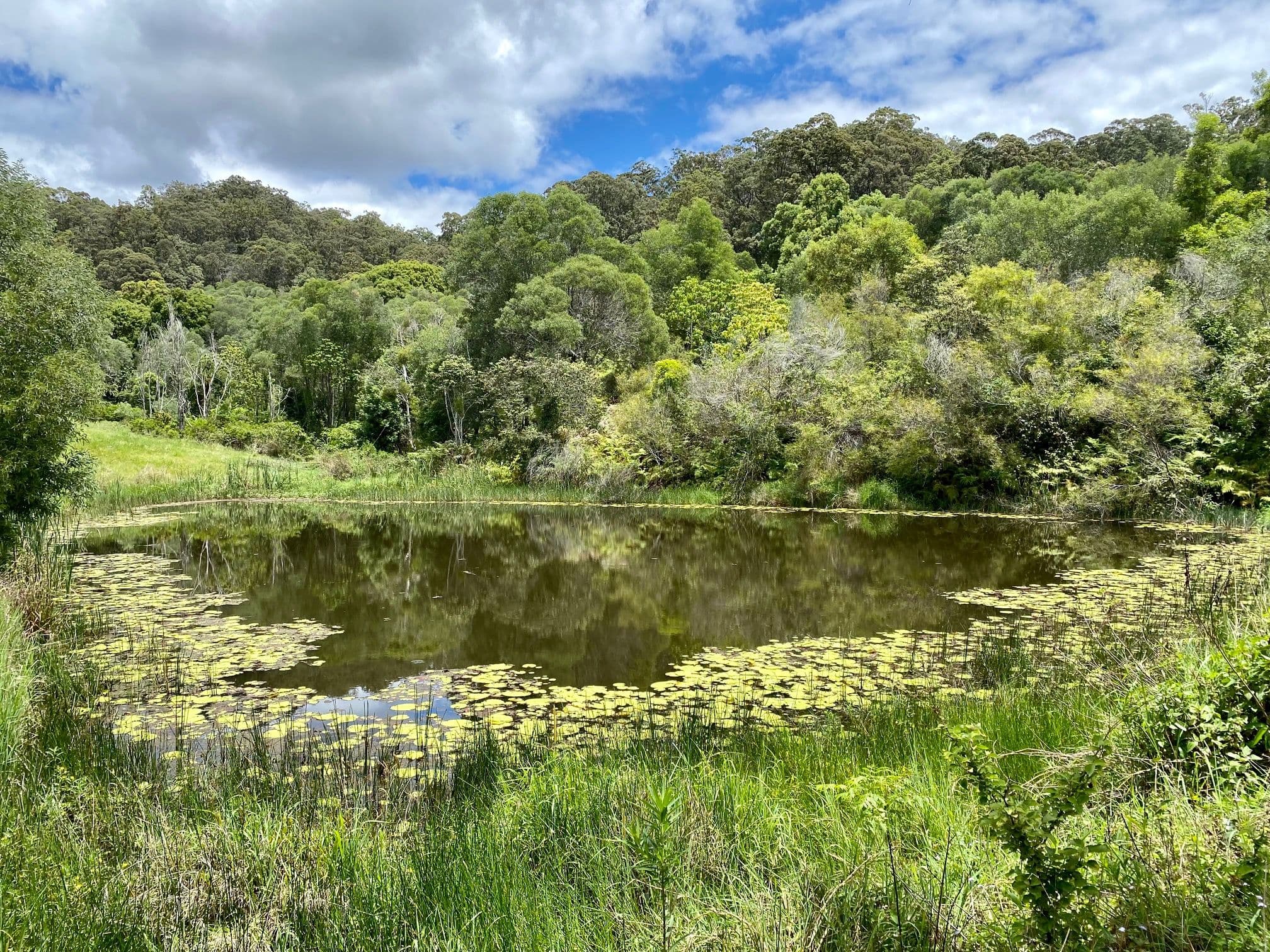 422B Tallebudgera Connection Road, Tallebudgera QLD 4228, Tallebudgera - Image 1