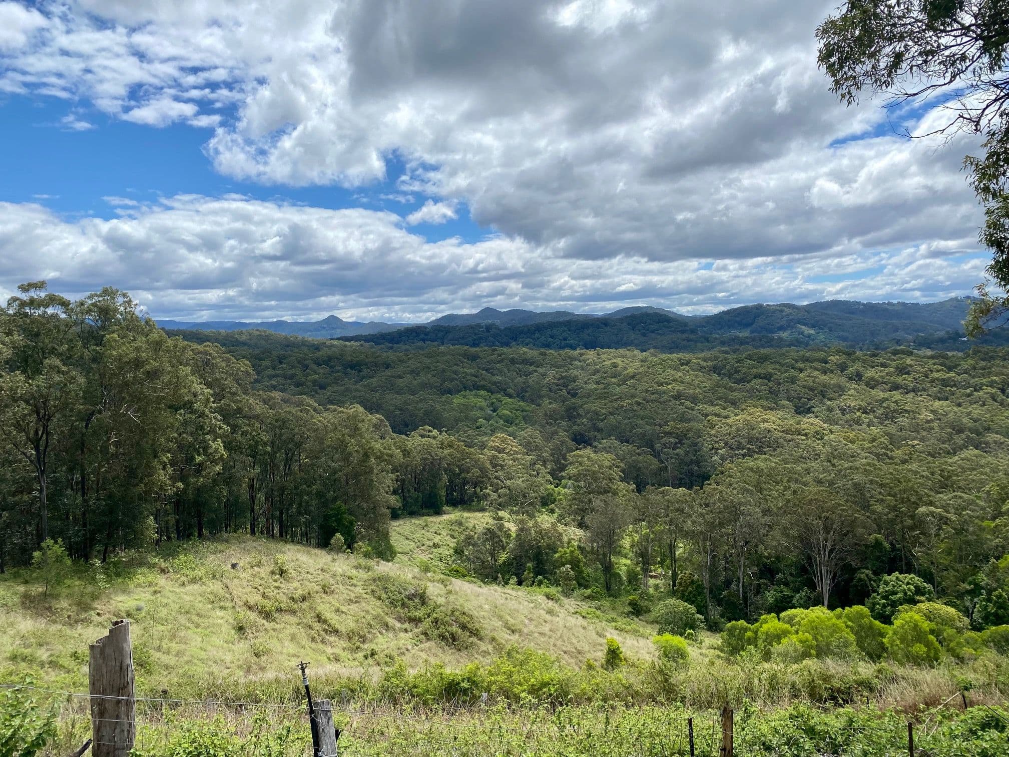422B Tallebudgera Connection Road, Tallebudgera QLD 4228, Tallebudgera - Thumbnail 3