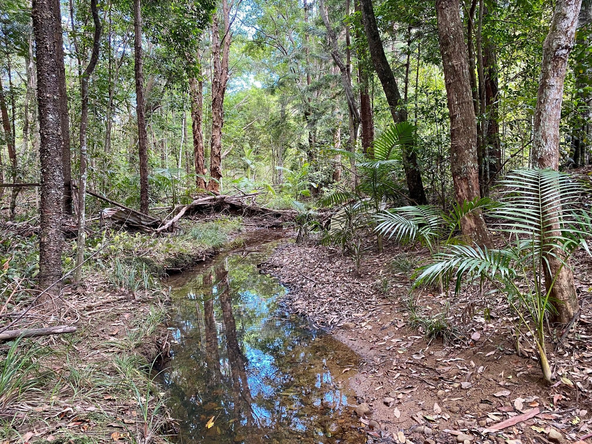 422B Tallebudgera Connection Road, Tallebudgera QLD 4228, Tallebudgera - Thumbnail 4