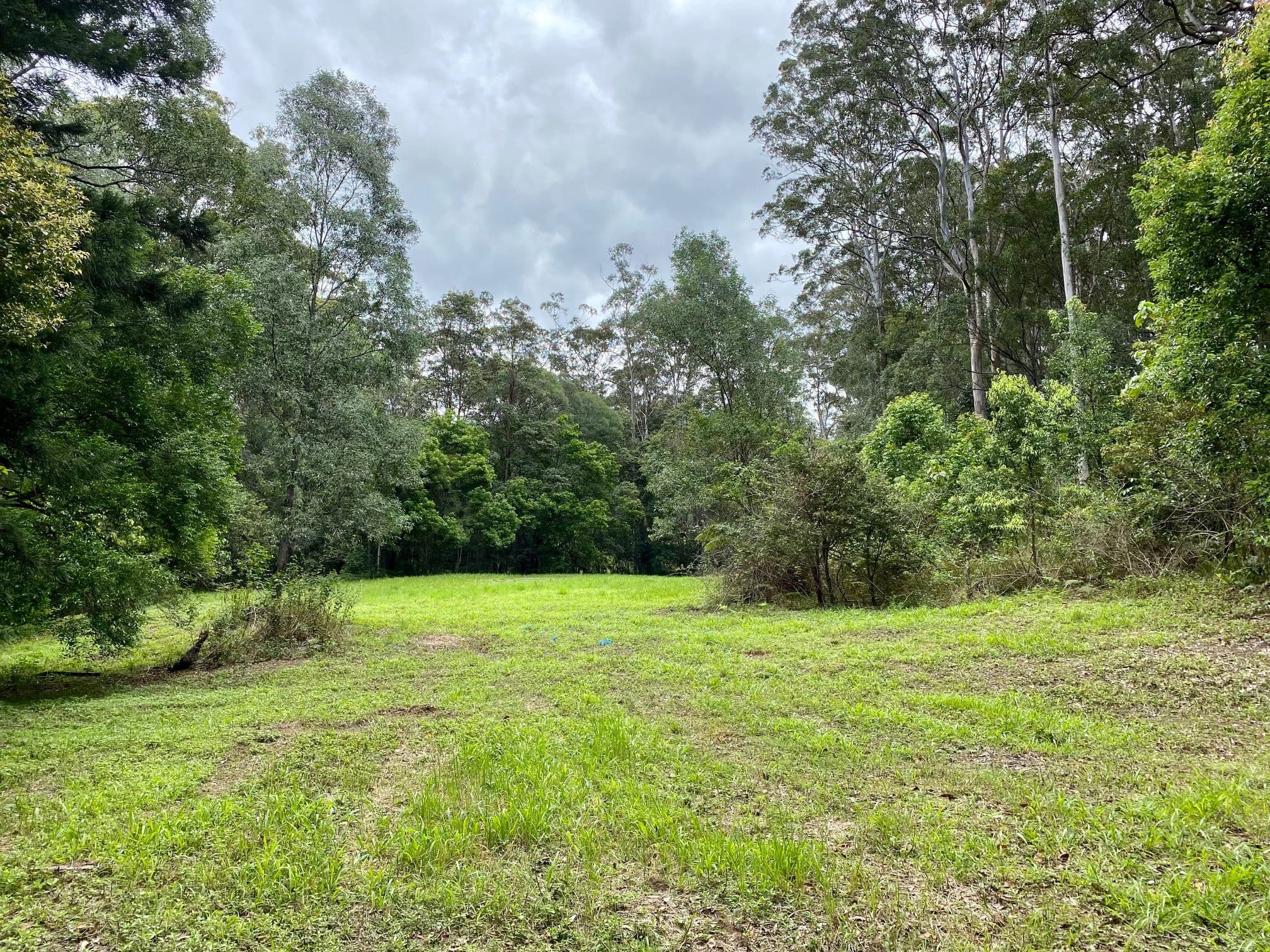 422B Tallebudgera Connection Road, Tallebudgera QLD 4228, Tallebudgera - Thumbnail 5