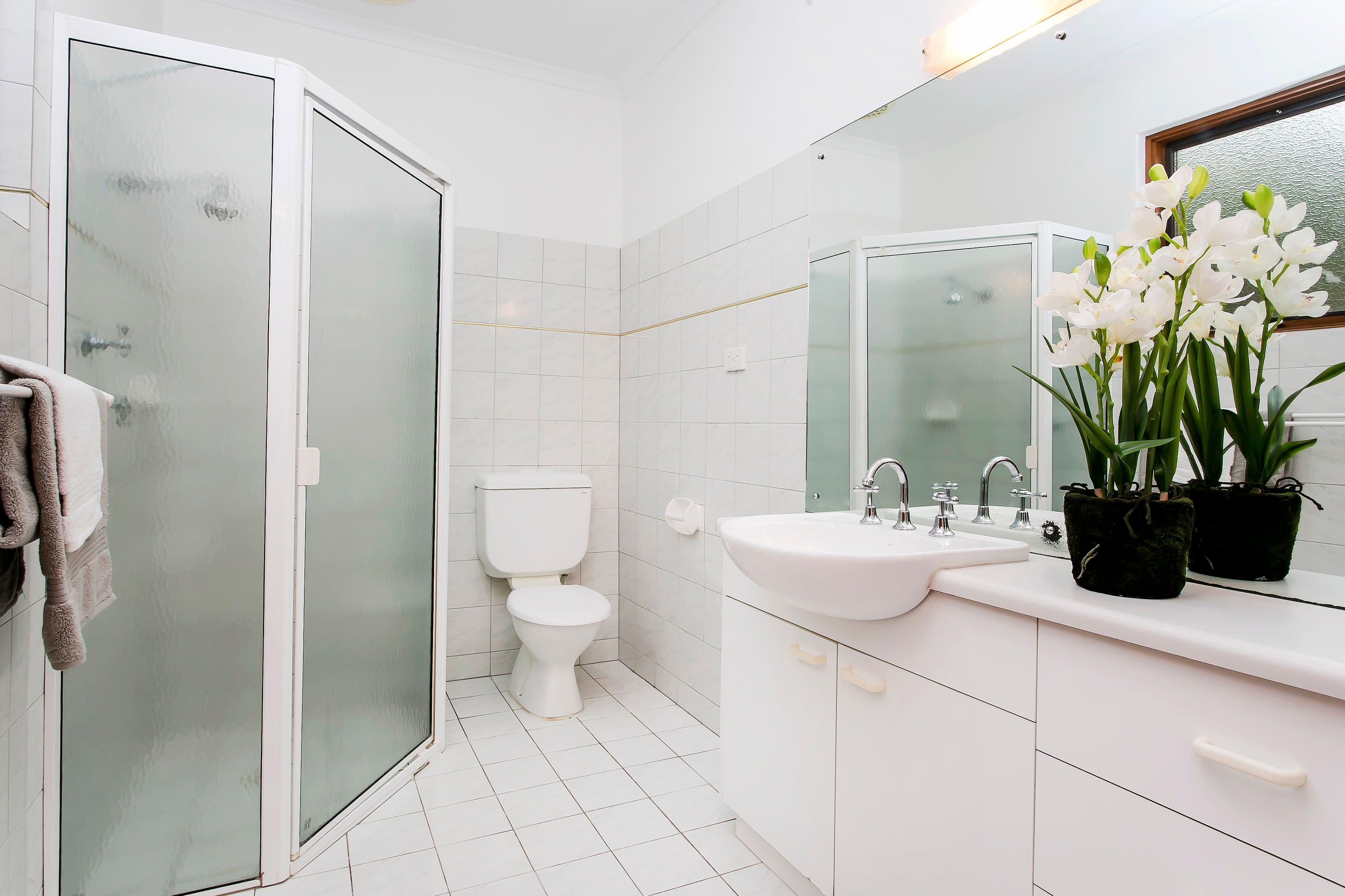 23 Osborn Avenue, Beulah Park SA 5067, Beulah Park - Thumbnail 8