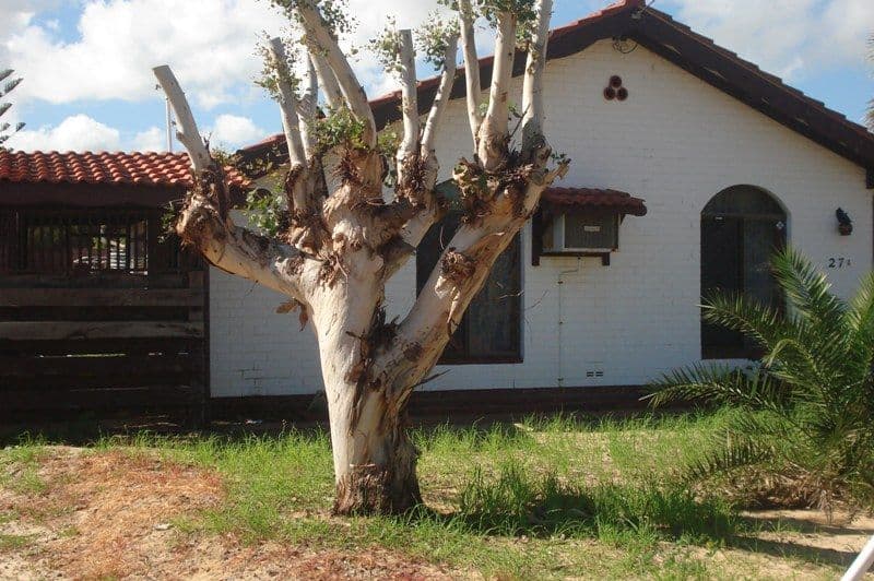1 jenner Court, SPALDING WA 6530, Spalding - Thumbnail 2