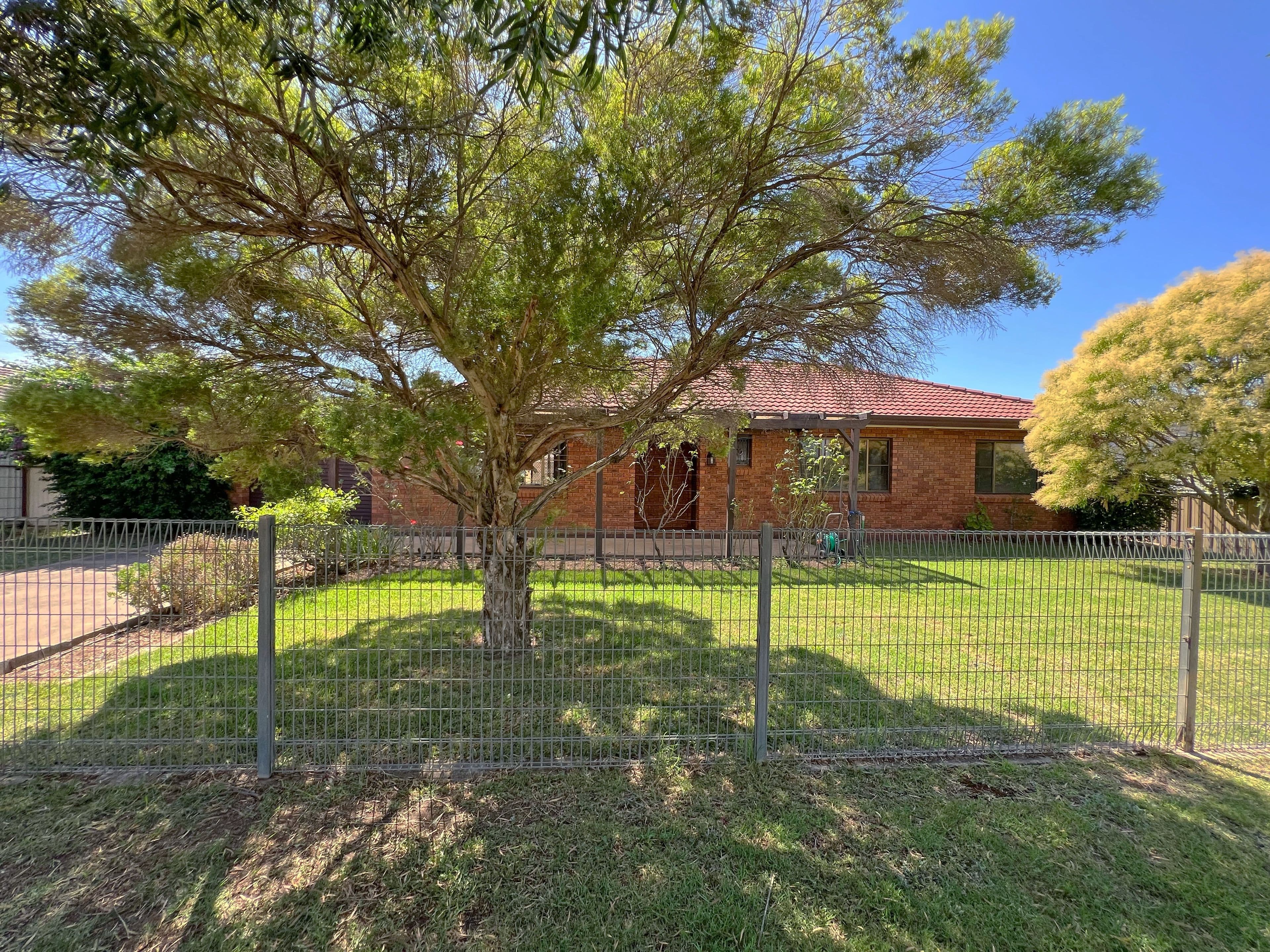117 York Street, Forbes NSW 2871, Forbes - Thumbnail 2