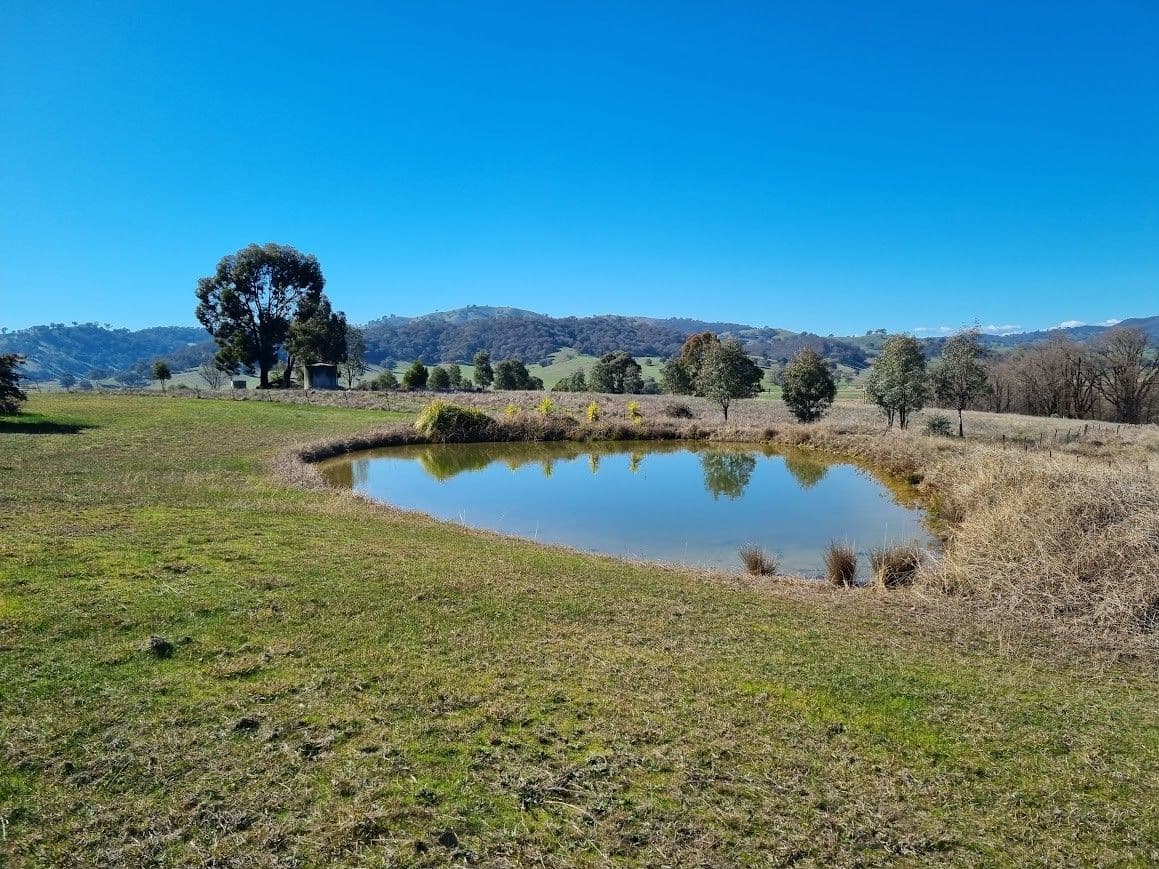 1210 Grahamstown Road, Mount Horeb NSW 2729, Mount Horeb - Thumbnail 4