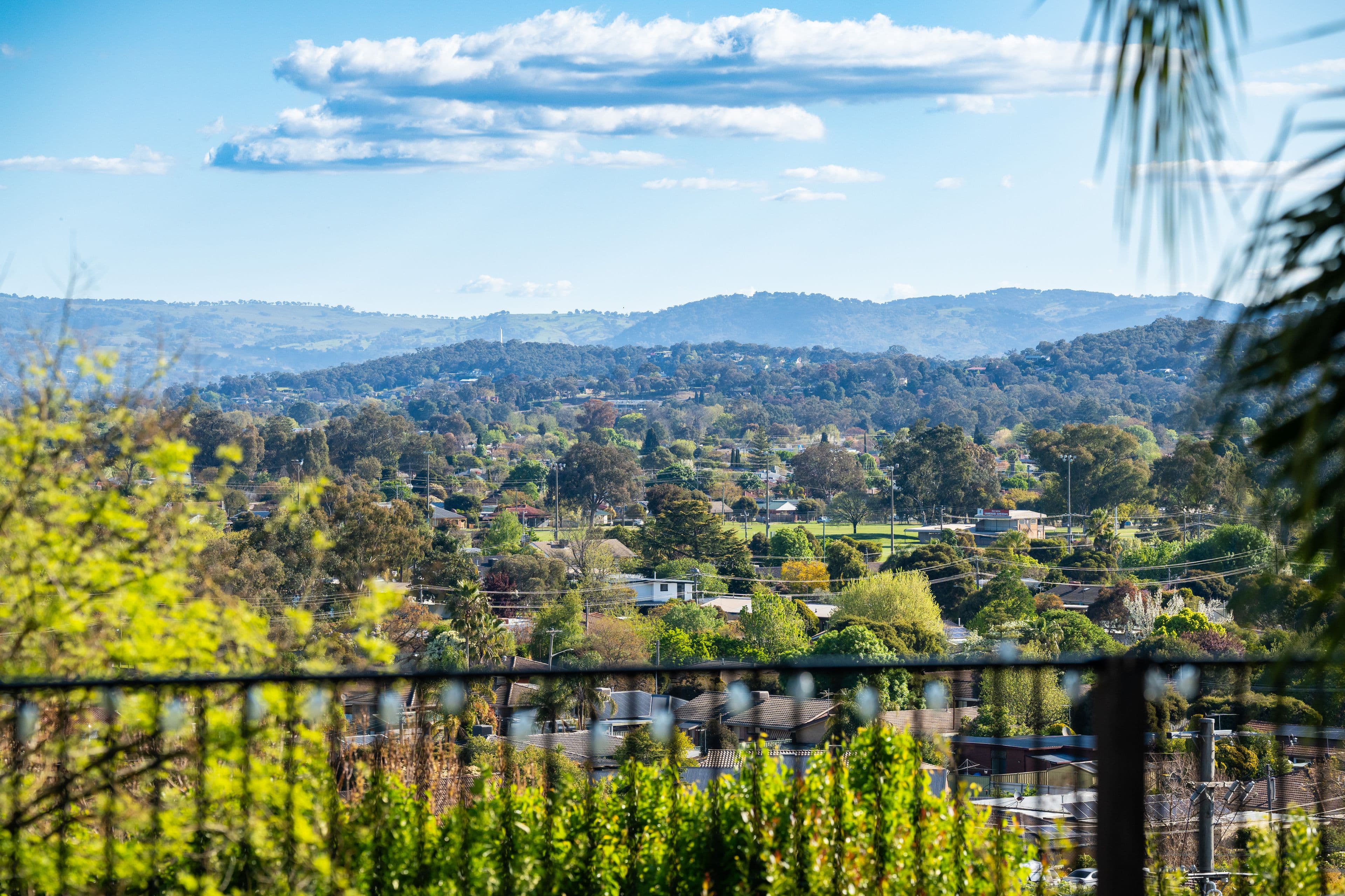 305 Highview Crescent, Lavington NSW 2641, Lavington - Thumbnail 8