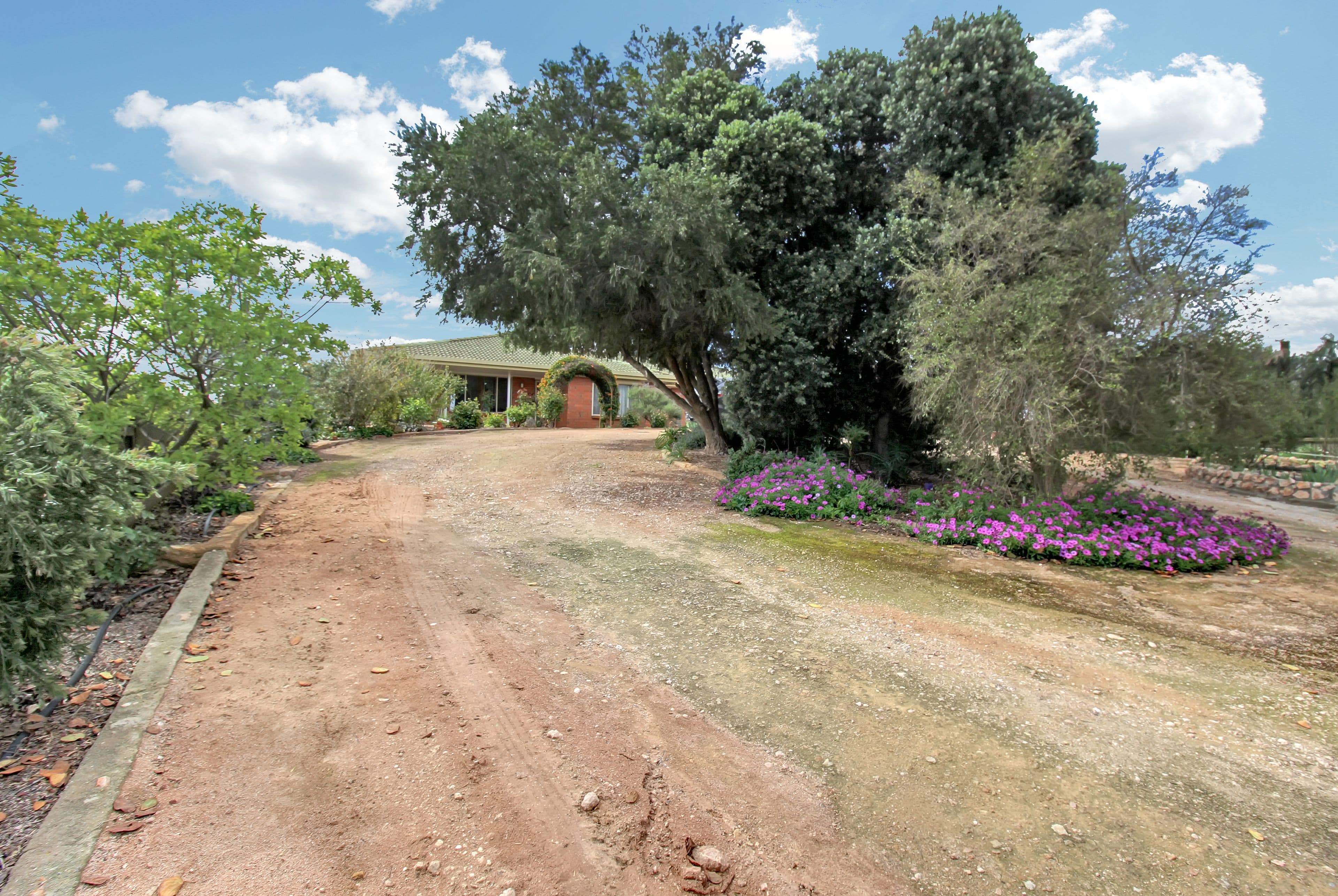 357 Virgo Road, Waikerie SA 5330, Waikerie - Thumbnail 2