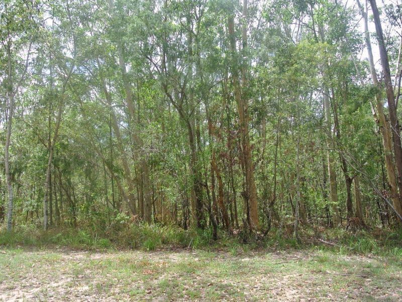 18 FOREST HILL Road, Russell Island QLD 4184, Russell Island - Image 1