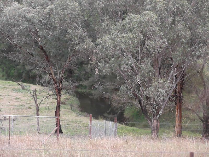 75 willowvale Road, COWRA NSW 2794, Cowra - Thumbnail 2