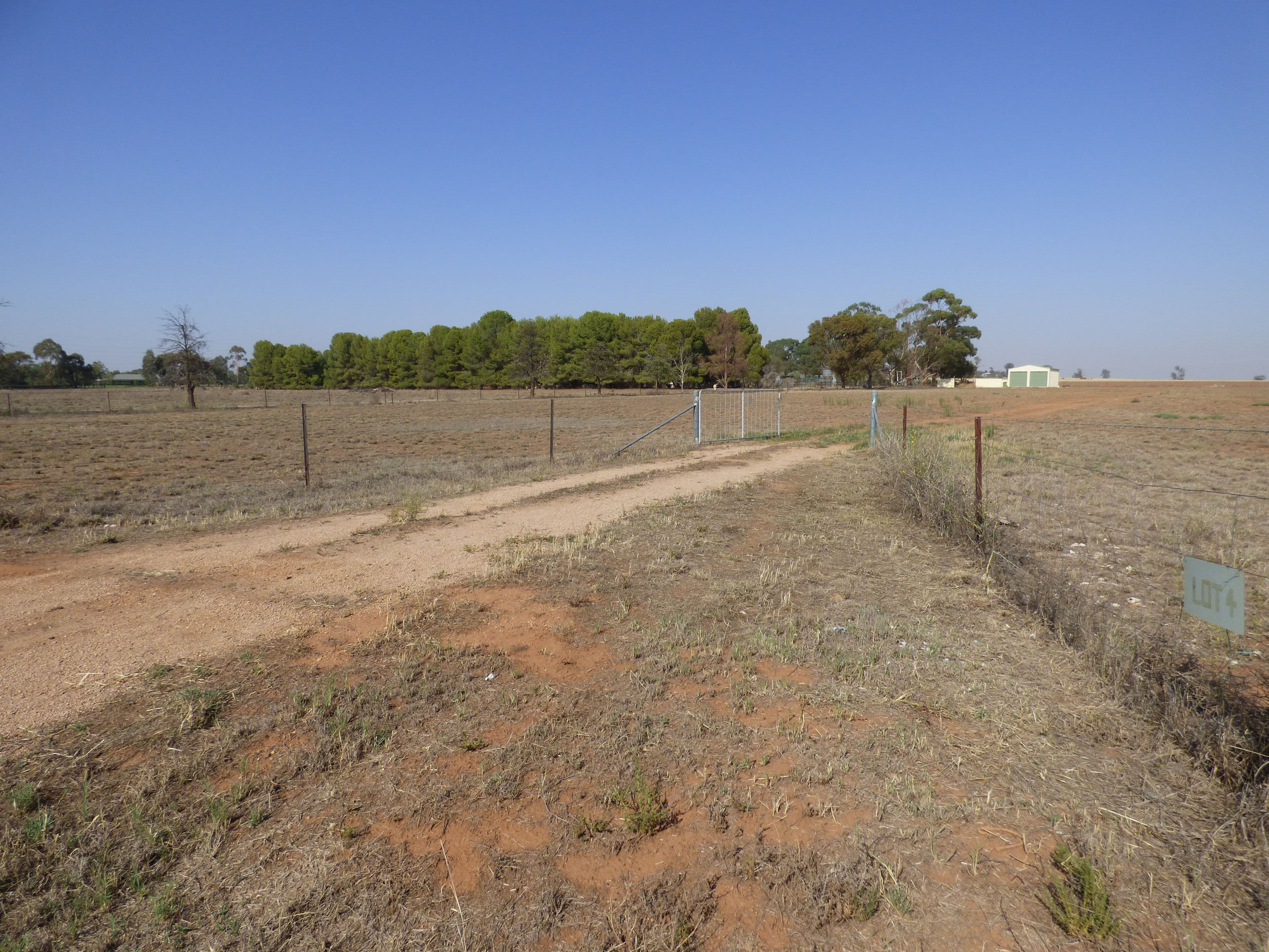 Lot 4 Calarie Road, Forbes NSW 2871, Forbes - Thumbnail 2