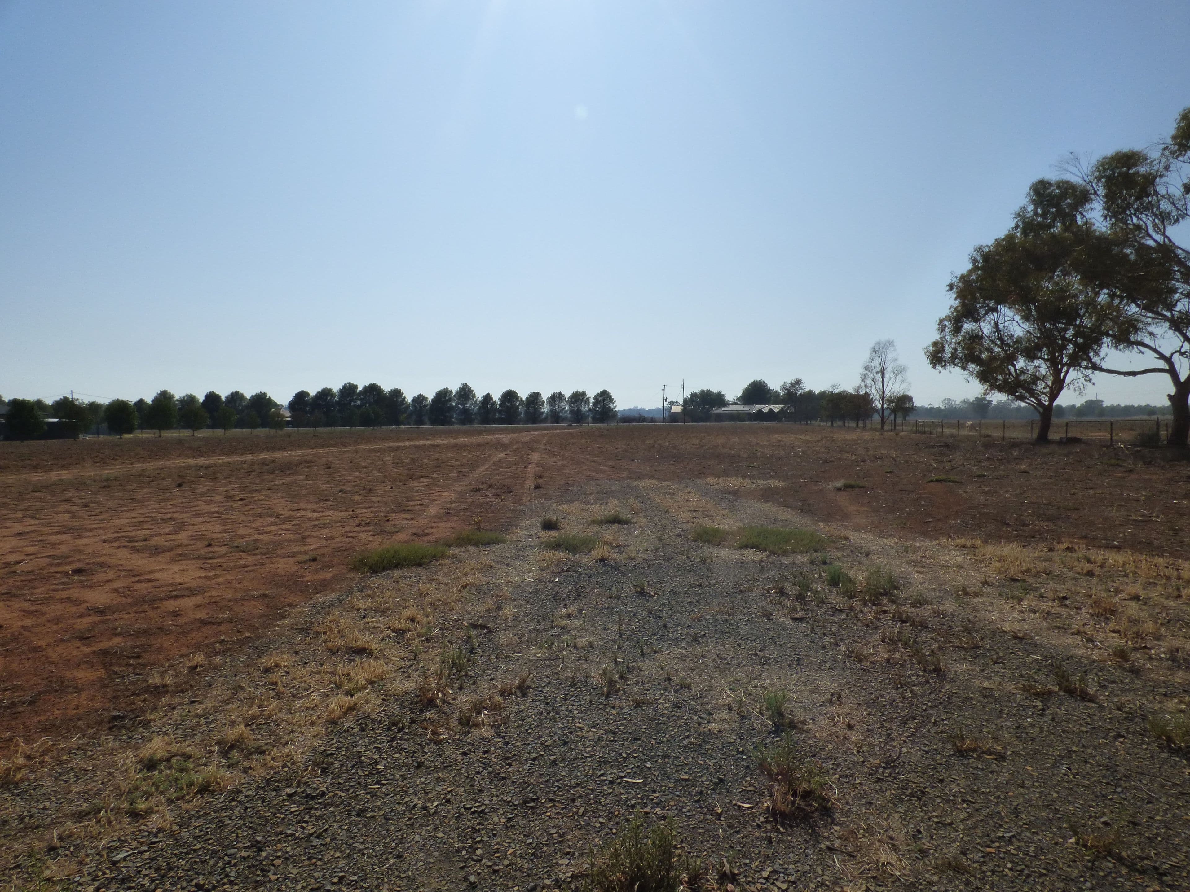 Lot 4 Calarie Road, Forbes NSW 2871, Forbes - Thumbnail 8