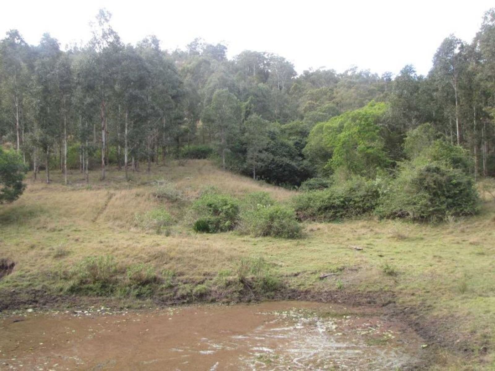 Mummulgum NSW 2469, Mummulgum - Thumbnail 5