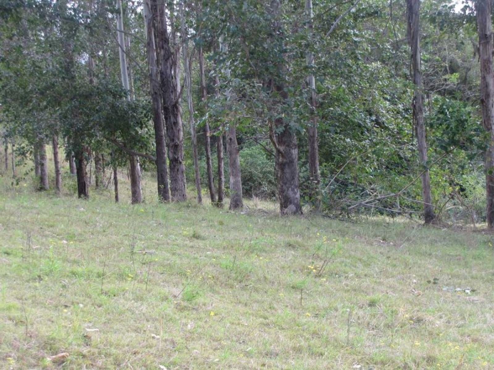 Mummulgum NSW 2469, Mummulgum - Thumbnail 6