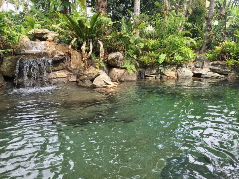 90 Charles Street, Manunda QLD 4870, Manunda - Thumbnail 3