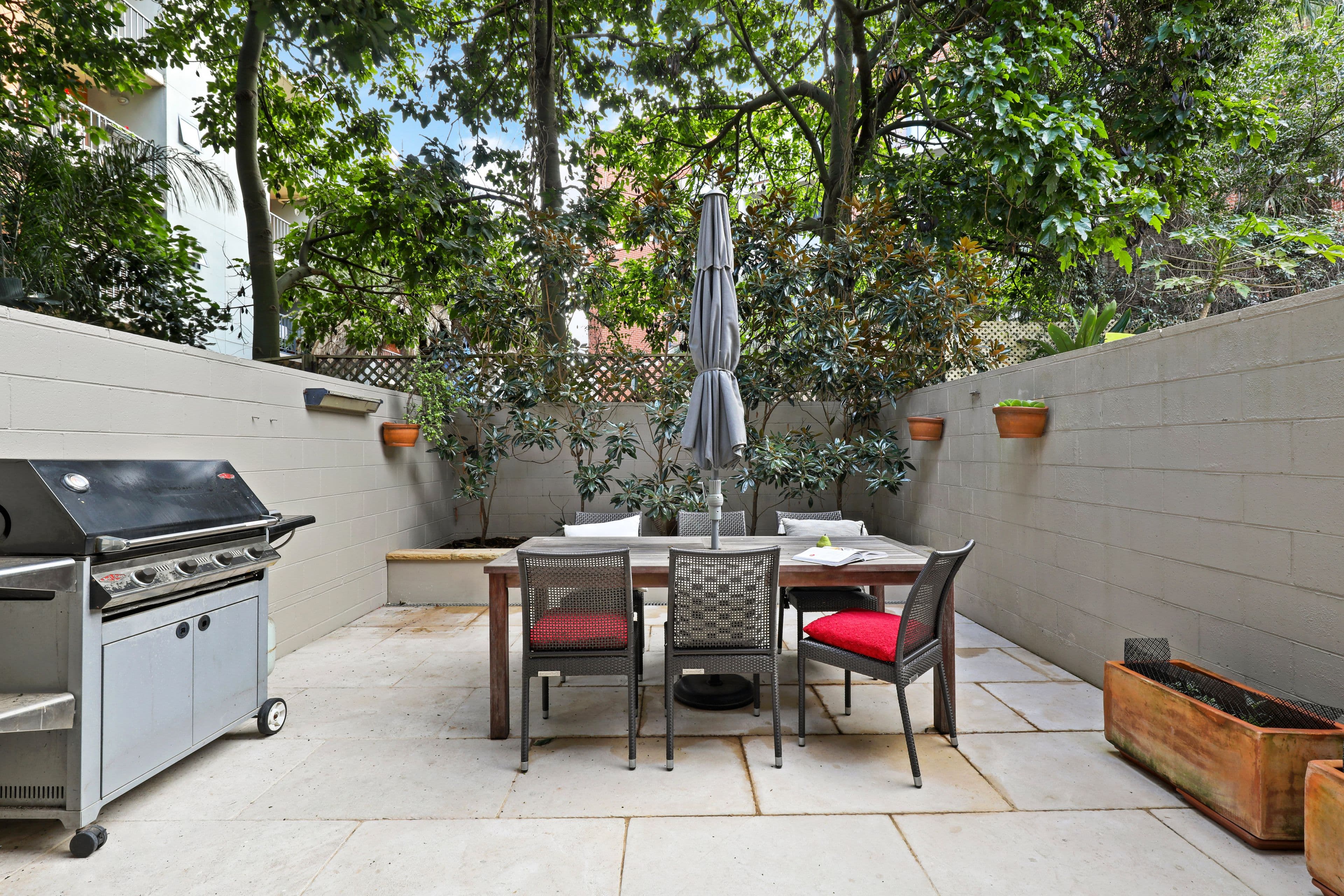 50 Raper Street, Newtown NSW 2042, Newtown - Thumbnail 5