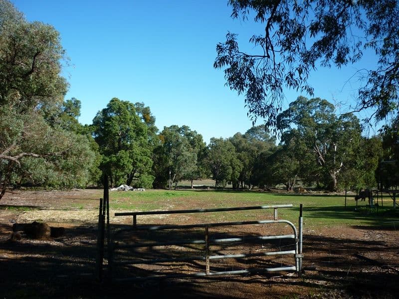 16 Egret Place, Chittering WA 6084, Chittering - Thumbnail 5