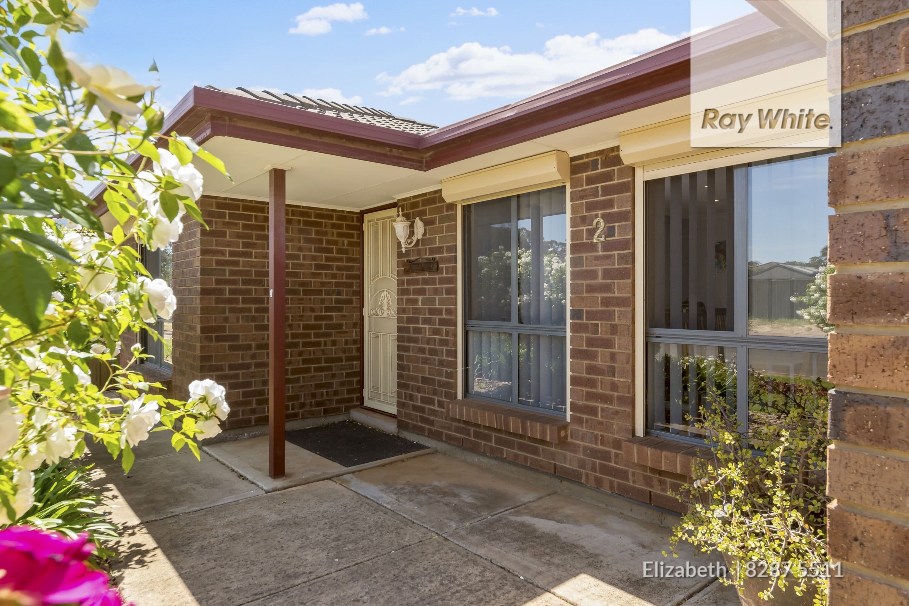 2 Hutton Avenue, Andrews Farm SA 5114, Andrews Farm - Thumbnail 4