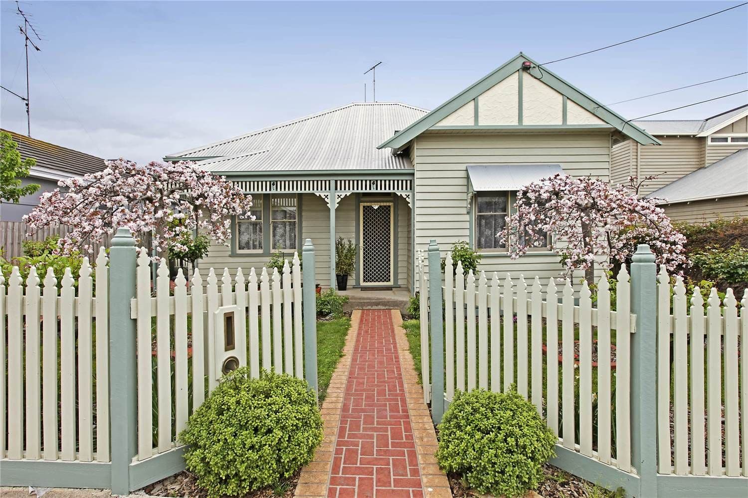 13 Daisy Street, NEWTOWN VIC 3220, Newtown - Image 1