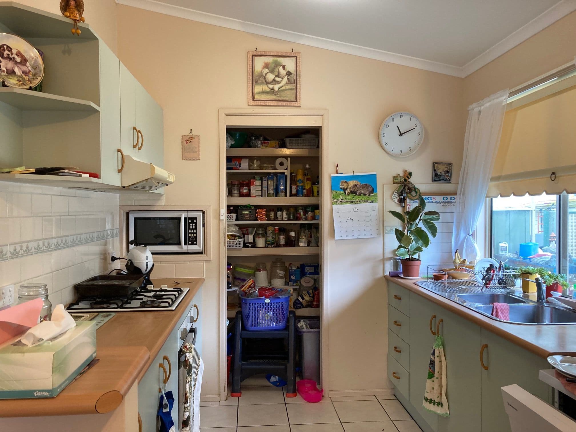 11 James Campbell Place, Kincumber NSW 2251, Kincumber South - Thumbnail 5