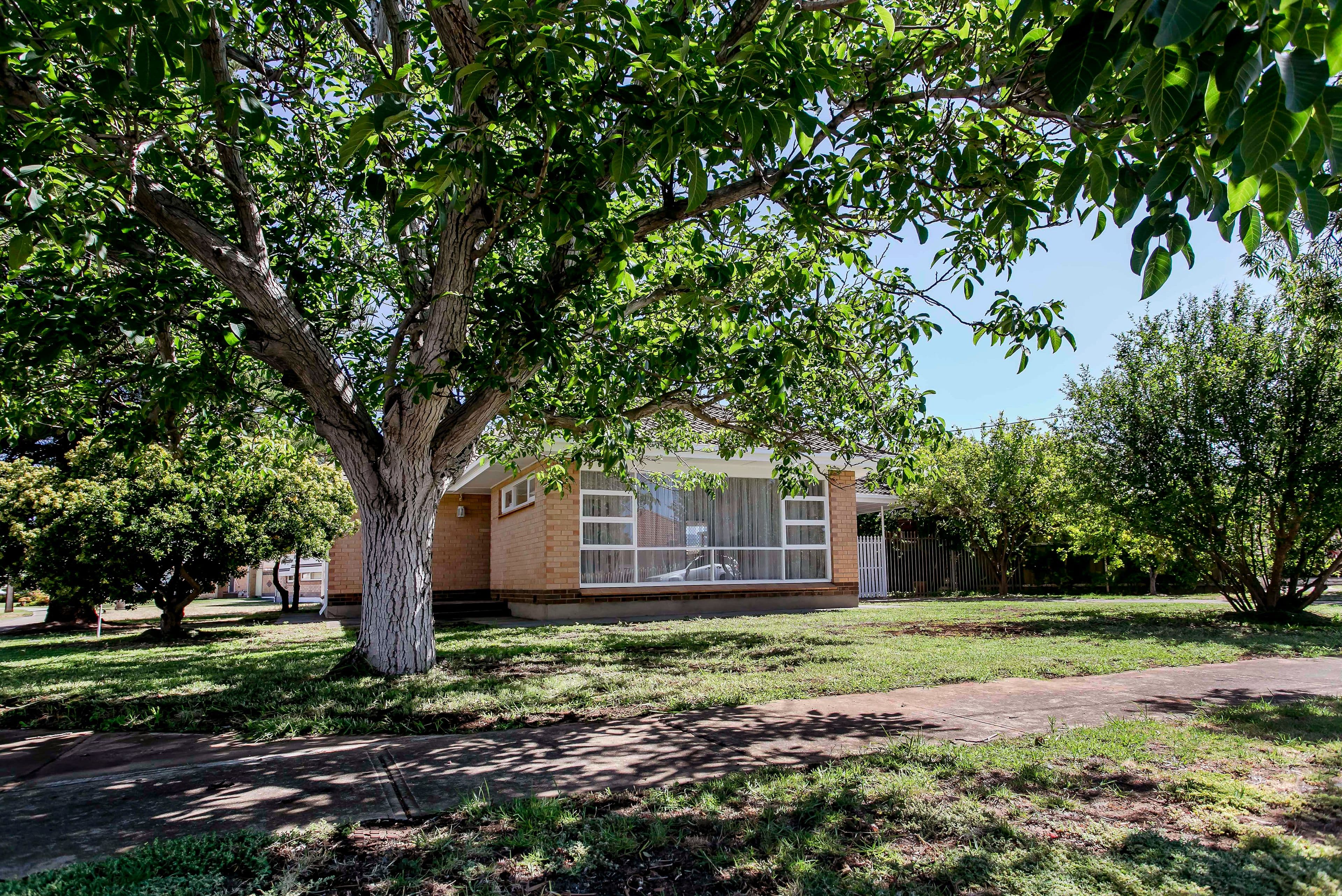 2 Margitich Street, Croydon Park SA 5008, Croydon Park - Thumbnail 3