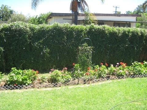17 Namoi Street, COONAMBLE NSW 2829, Coonamble - Thumbnail 2