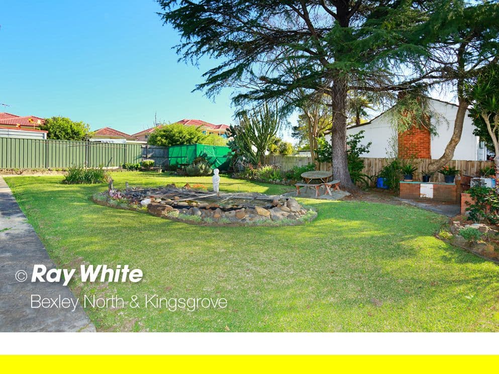 53 Webb Street, Riverwood NSW 2210, Riverwood - Thumbnail 4