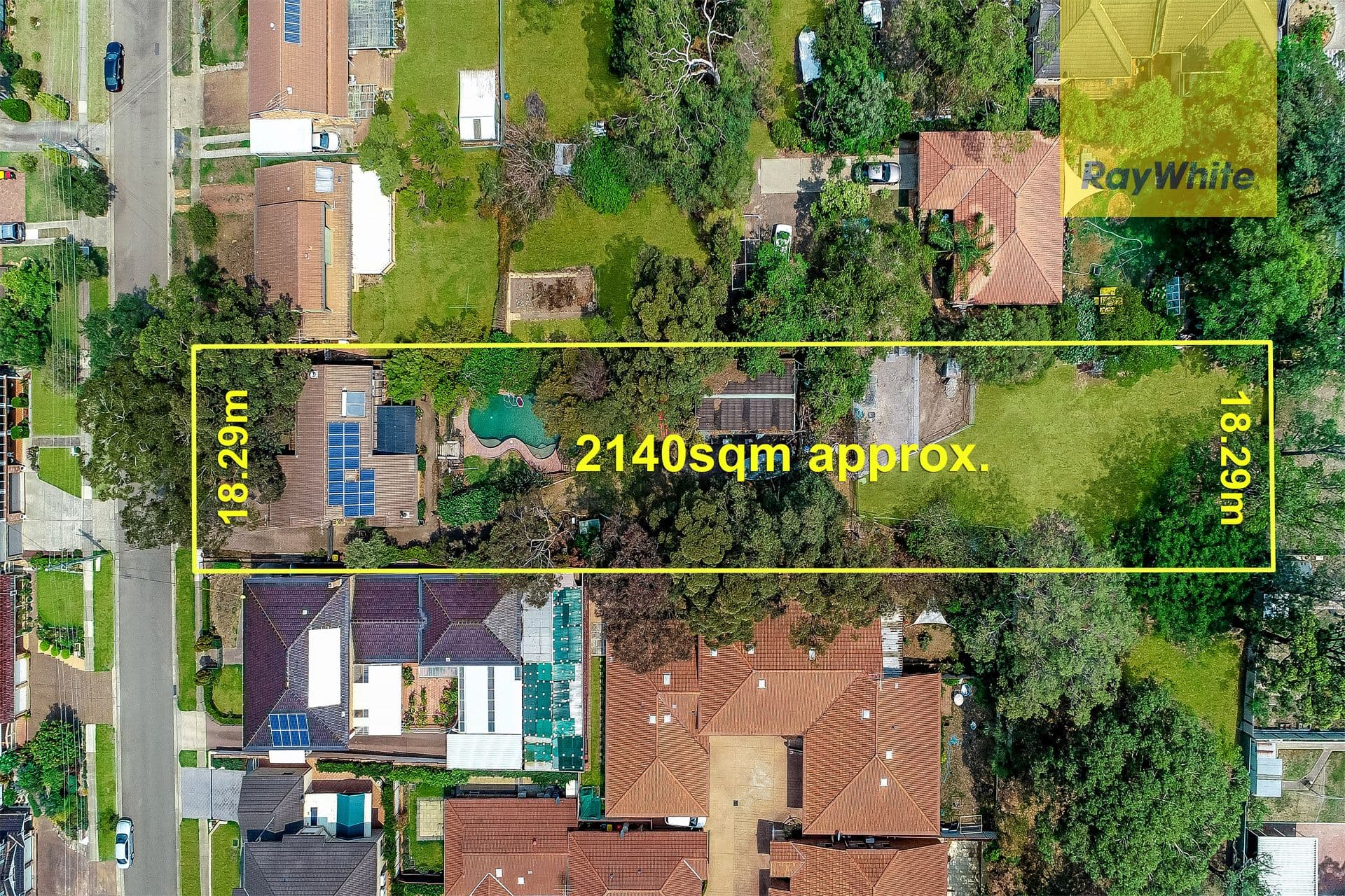 50 Thane Street, Wentworthville NSW 2145, Wentworthville - Thumbnail 2