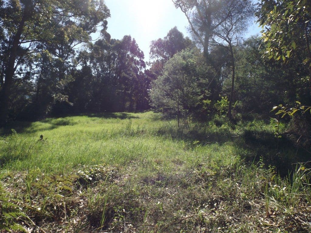 7A Millard Street, ULLADULLA NSW 2539, Ulladulla - Thumbnail 2