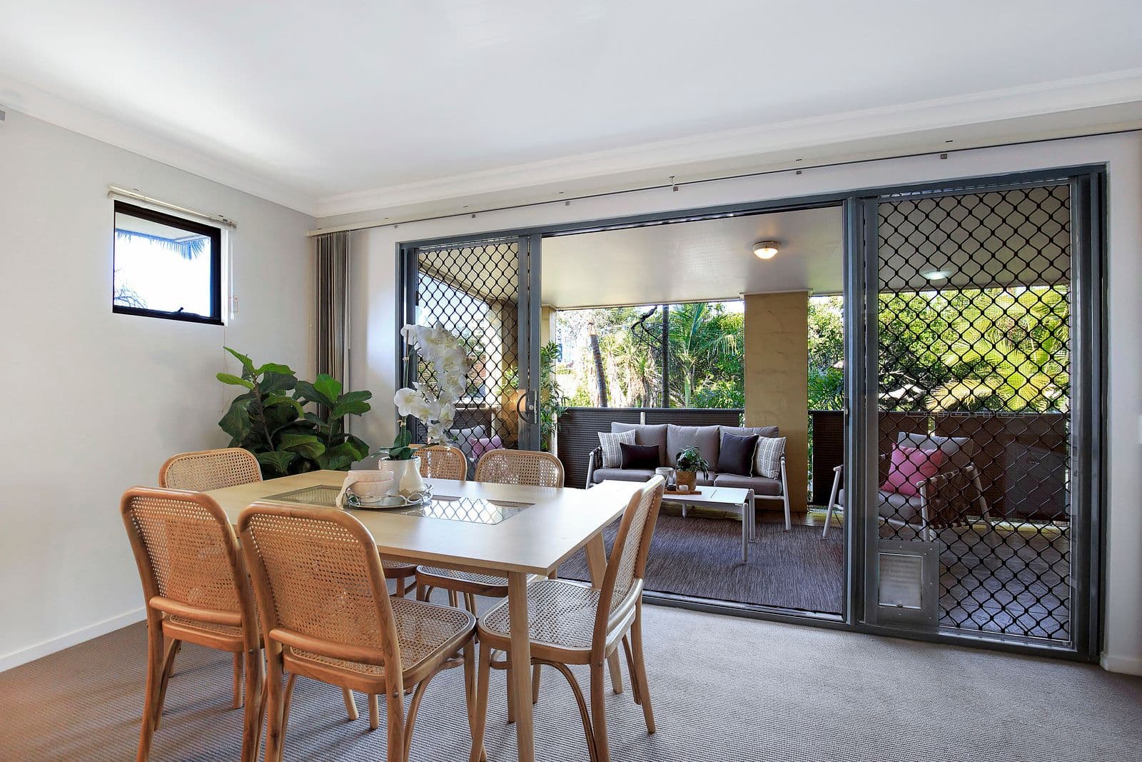 11 Emperor Street, Annerley QLD 4103, Annerley - Thumbnail 4