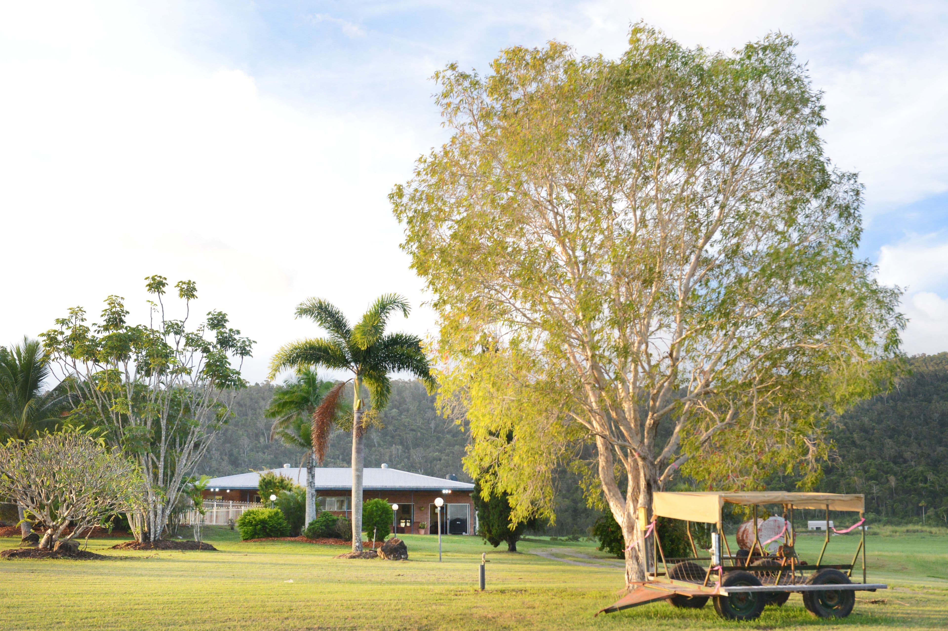 1 Simpson Road, Strathdickie QLD 4800, Strathdickie - Thumbnail 6