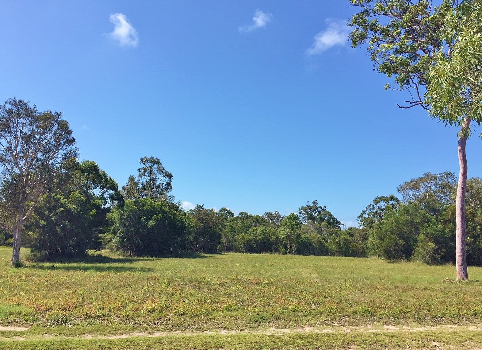 9 Southern Cross Circuit, Urangan QLD 4655, Urangan - Thumbnail 3