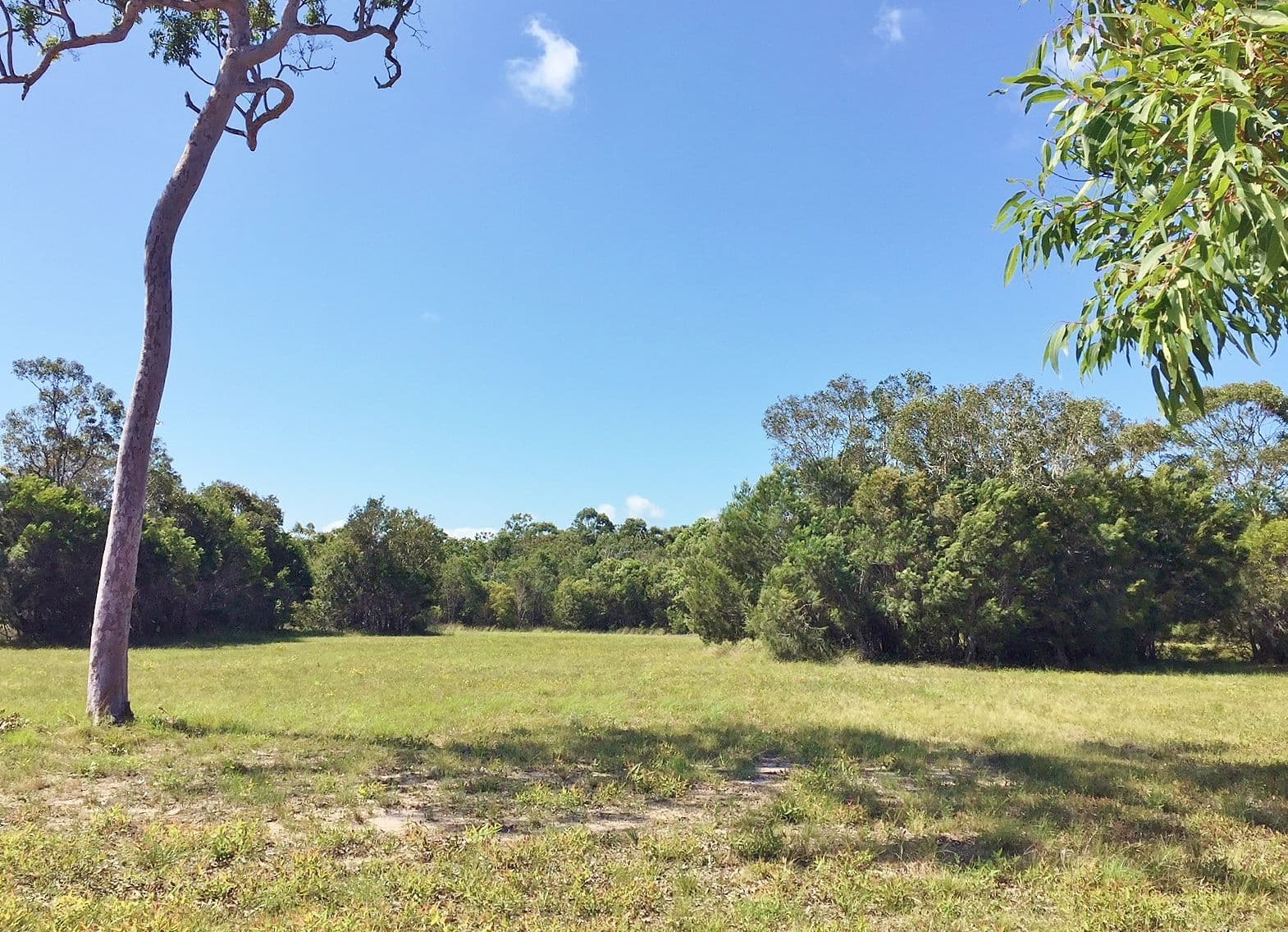 9 Southern Cross Circuit, Urangan QLD 4655, Urangan - Thumbnail 5