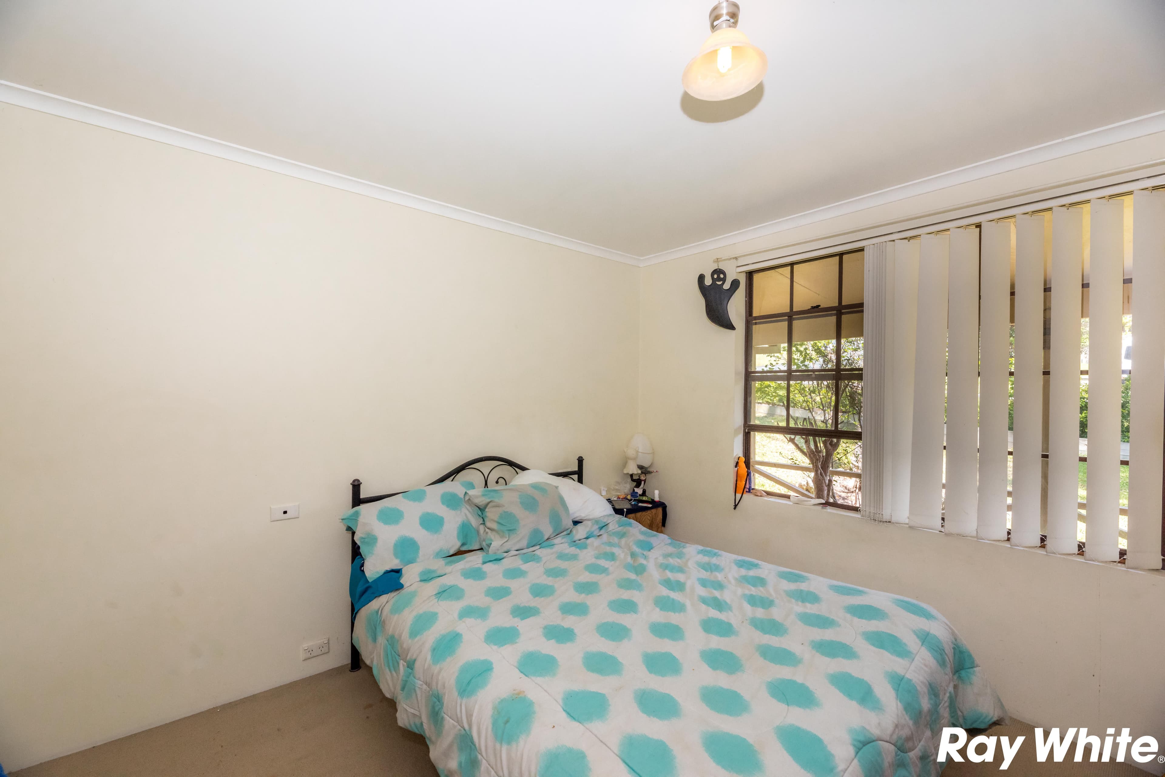 50 Likely Street, Forster - Thumbnail 3