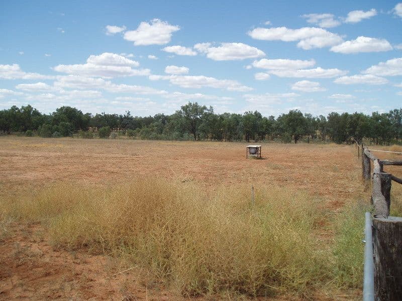 Lot 2 Frawley Street, CHARLEVILLE QLD 4470, Charleville - Thumbnail 2