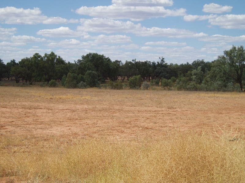 Lot 2 Frawley Street, CHARLEVILLE QLD 4470, Charleville - Thumbnail 3