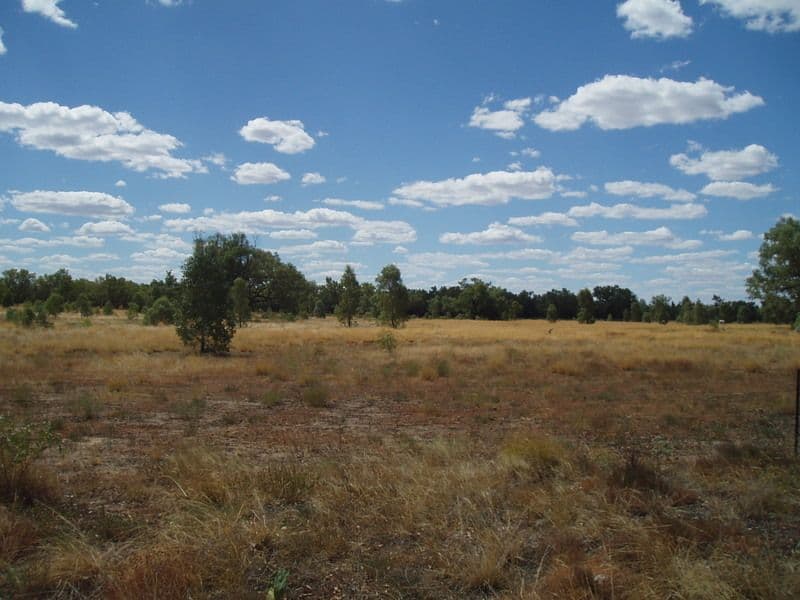 Lot 2 Frawley Street, CHARLEVILLE QLD 4470, Charleville - Thumbnail 4